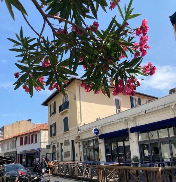 Sale Apartment Biarritz 4&nbsp;Rooms 163&nbsp;m²
