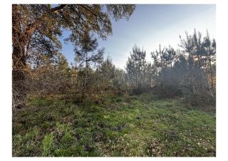 land for sale on ST MARTIN DE SEIGNANX (40390)