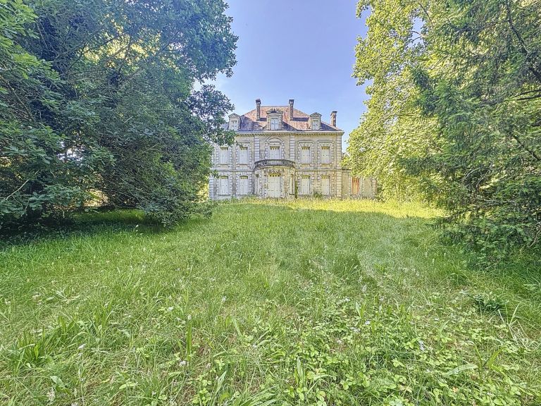 castle 15 Rooms for sale on DAX (40100)