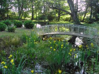 castle 15 Rooms for sale on DAX (40100)