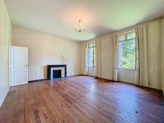 castle 15 Rooms for sale on DAX (40100)