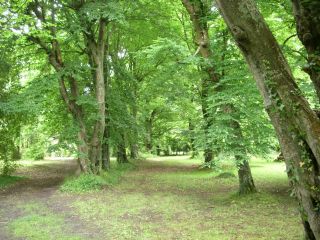 château 15 Pièces en vente sur DAX (40100)