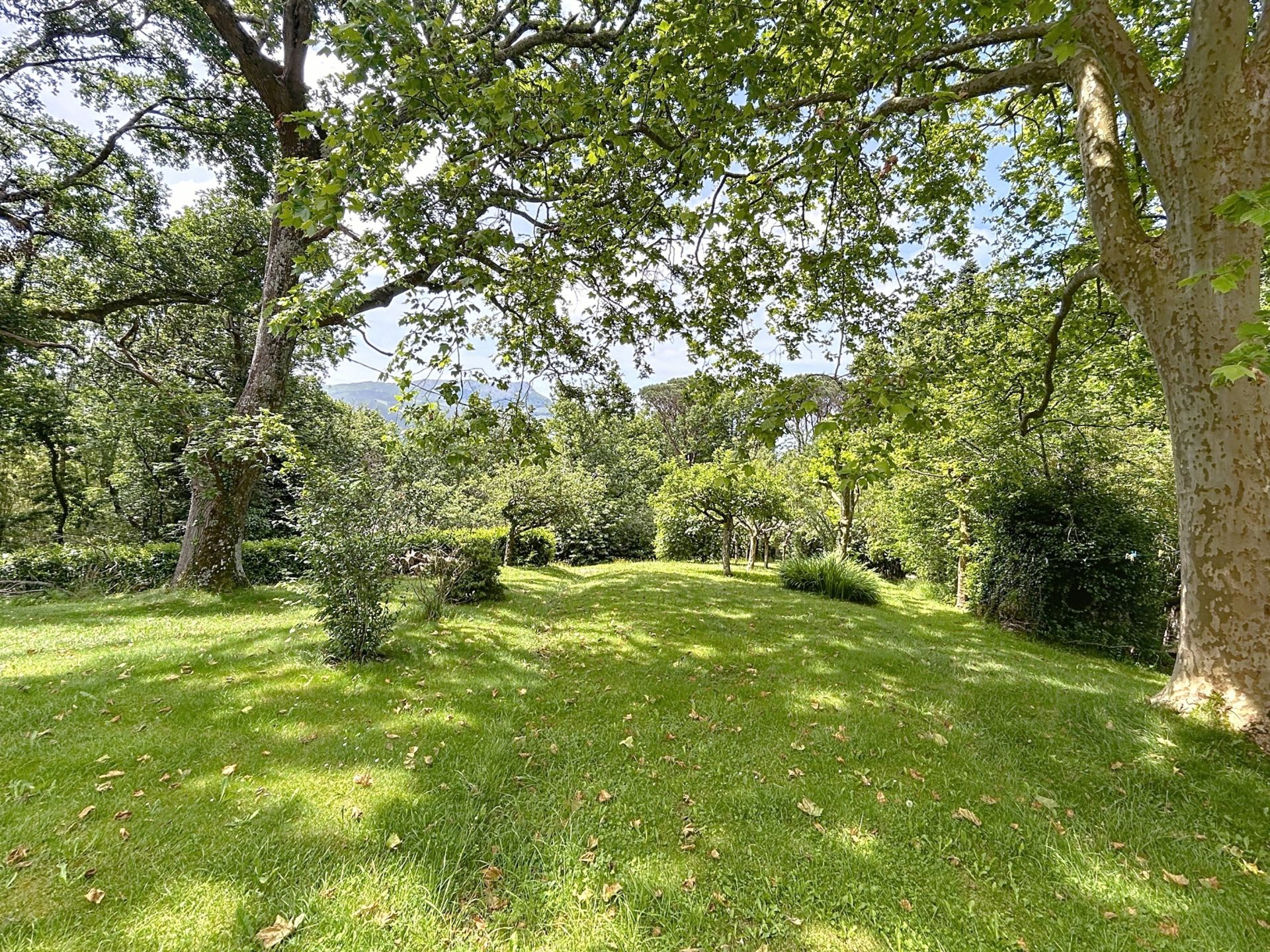 maison 16 Pièces en vente sur ST PEE SUR NIVELLE (64310)