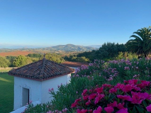 maison 15 Pièces en vente sur BAYONNE (64100)