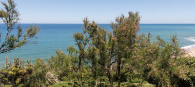 Confiez-nous votre recherche